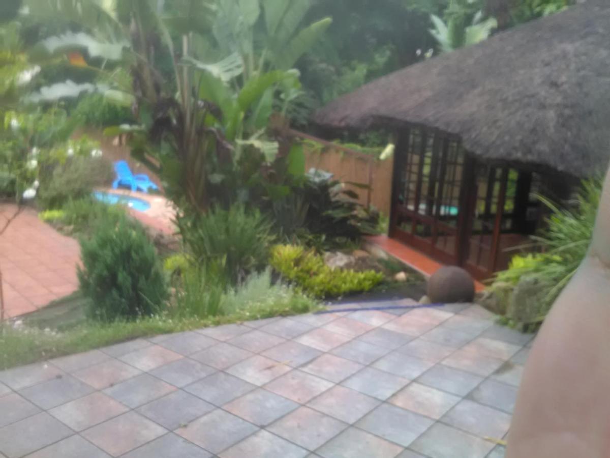 Thrush Nest Durban Bed and Breakfast Pinetown Buitenkant foto