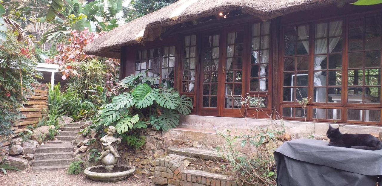 Thrush Nest Durban Bed and Breakfast Pinetown Buitenkant foto