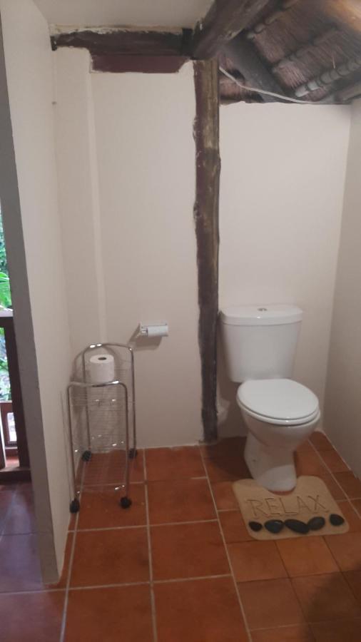 Thrush Nest Durban Bed and Breakfast Pinetown Buitenkant foto